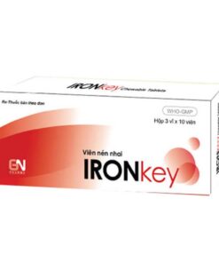 Sắt Ironkey