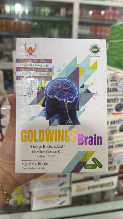 Goldwings Brain
