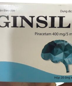 GINSIL
