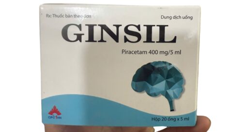 GINSIL